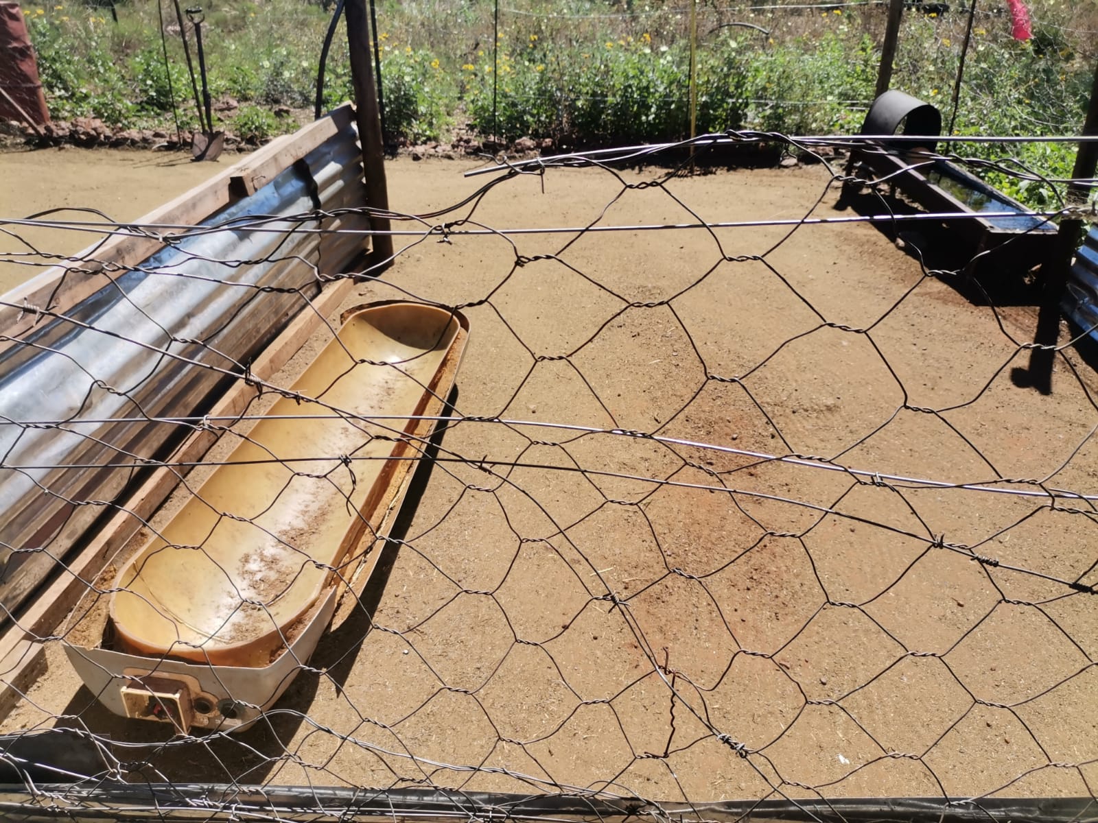 Livestock pen and water trough on the farm