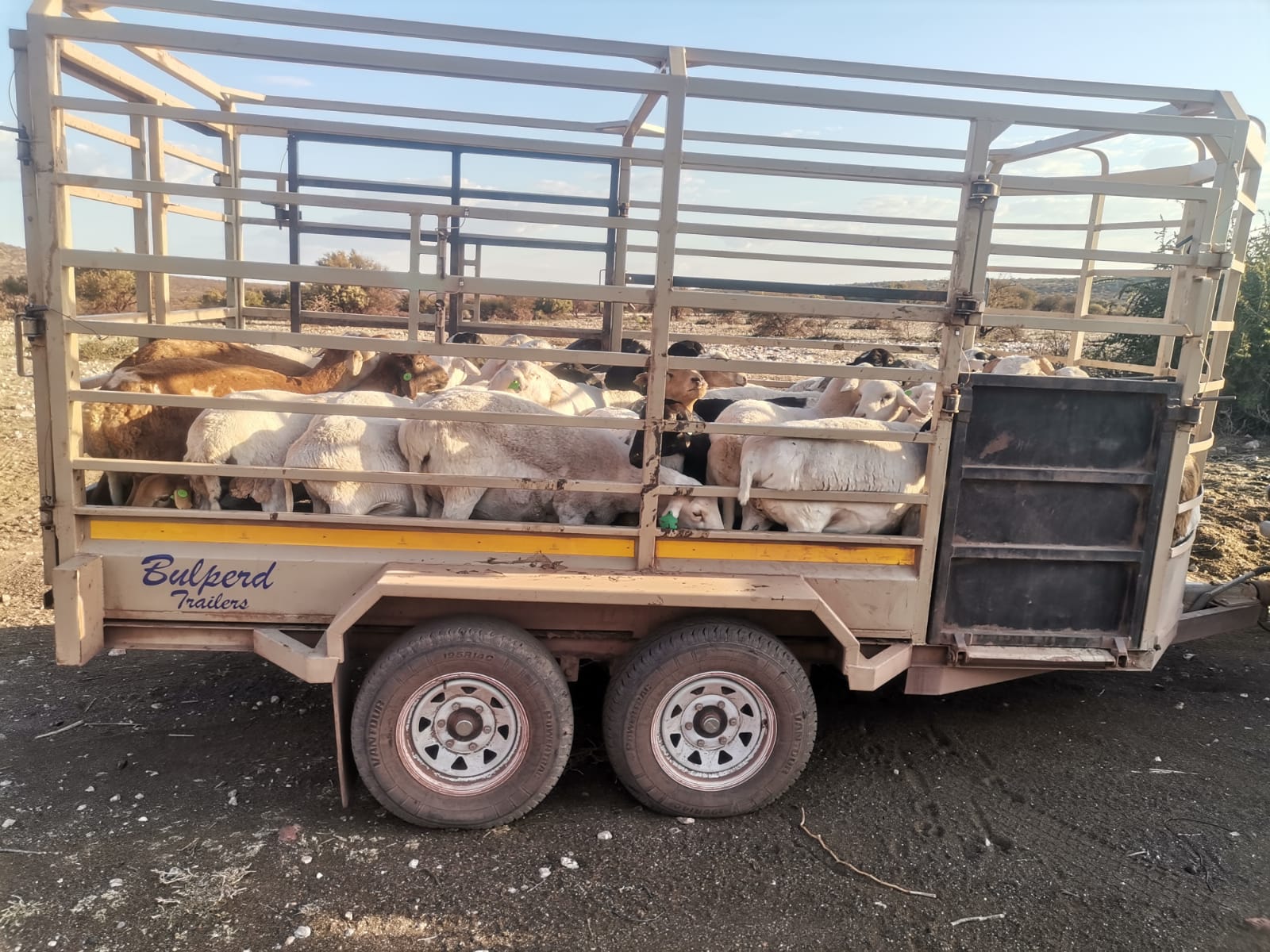 Livestock farming and transport