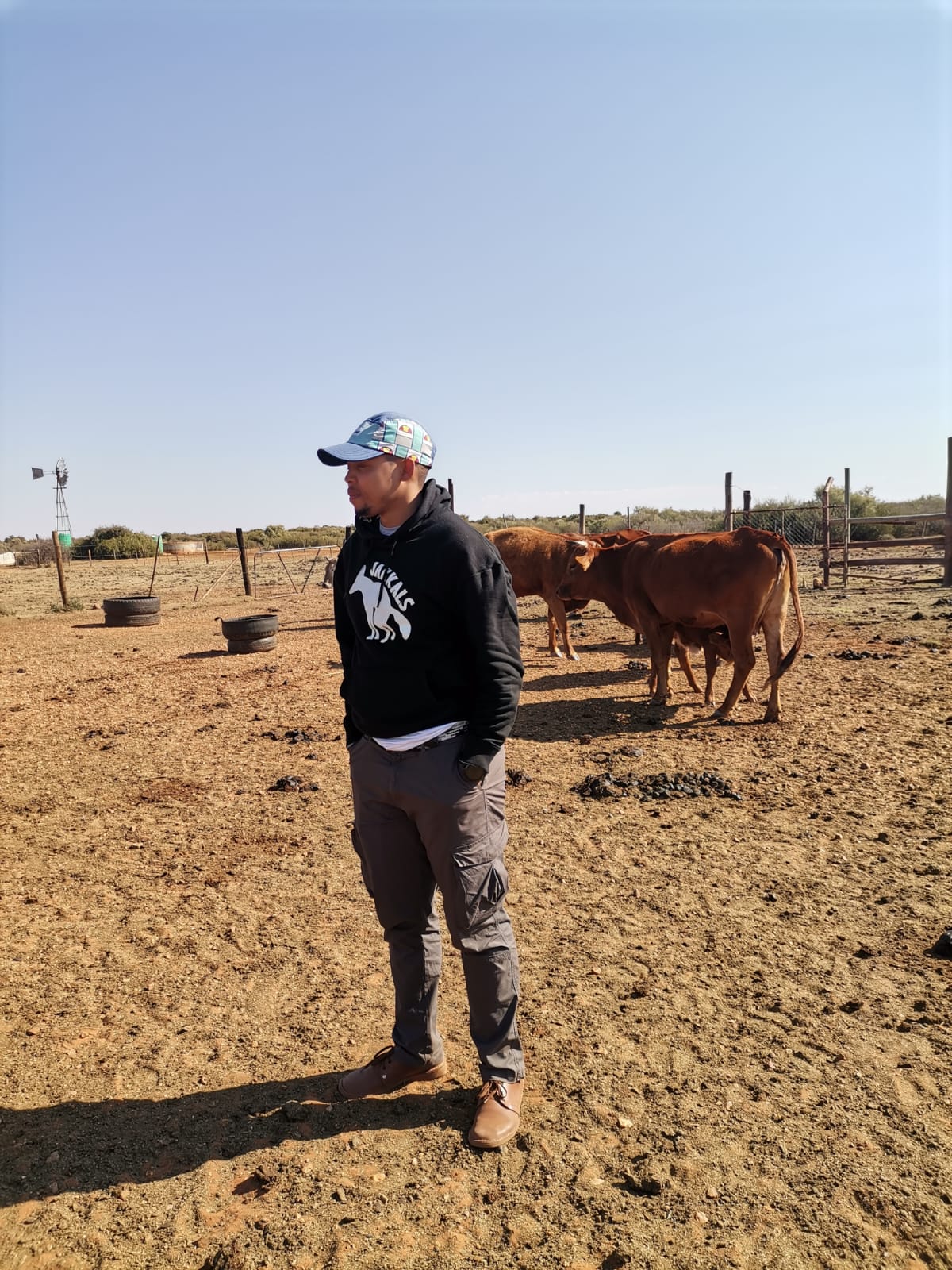 Klippies Fontein farm operation with cattle